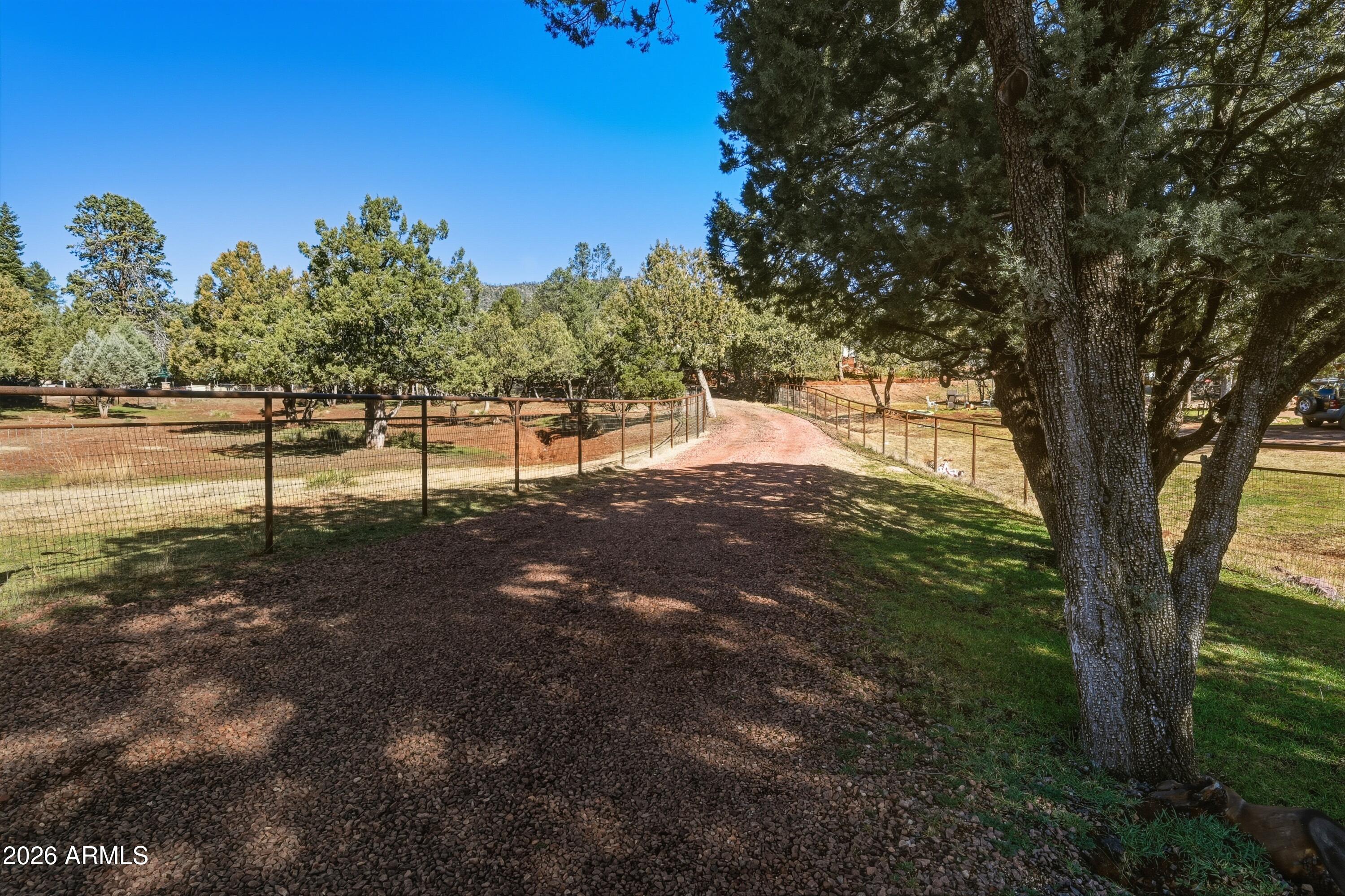 6475 Pine Cone Trail Pine, AZ 85544 - Photo 3 of 51 a view of a yard with a tree