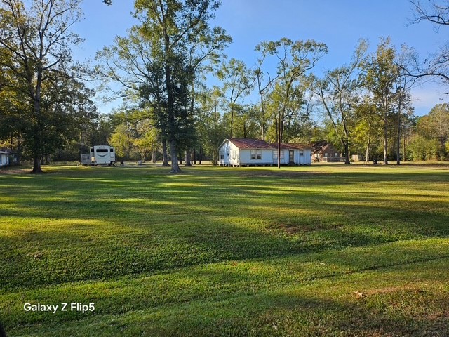 a view of a grassy field with trees