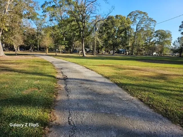 a view of a yard with a large trees
