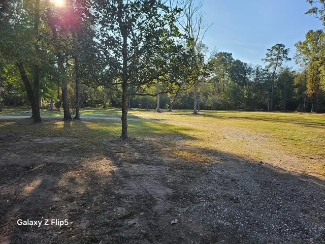 a view of a field with an trees