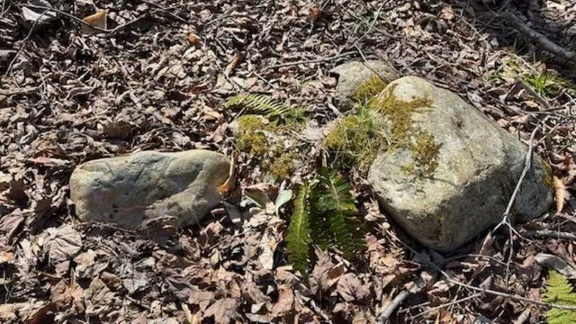 $325,000 | 1376 Kingdom Road, Ludlow, VT 05149