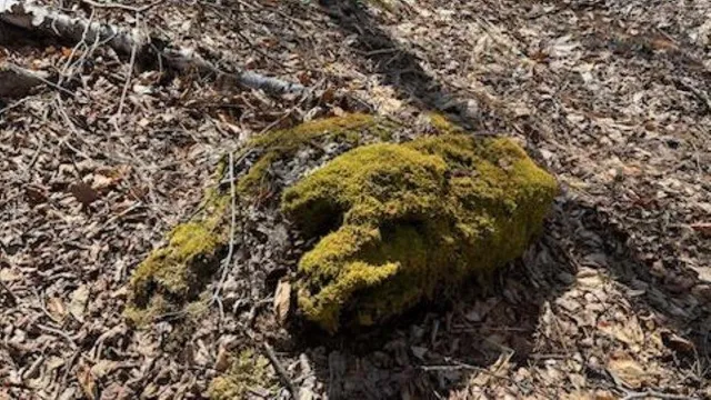 $325,000 | 1376 Kingdom Road, Ludlow, VT 05149