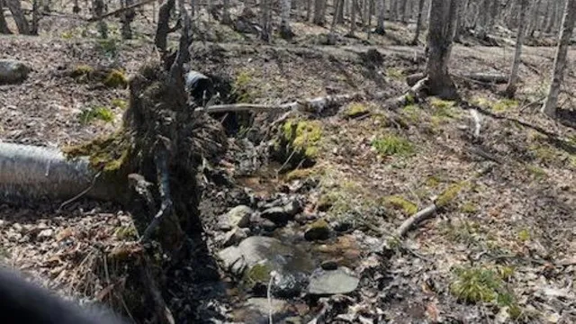 $325,000 | 1376 Kingdom Road, Ludlow, VT 05149