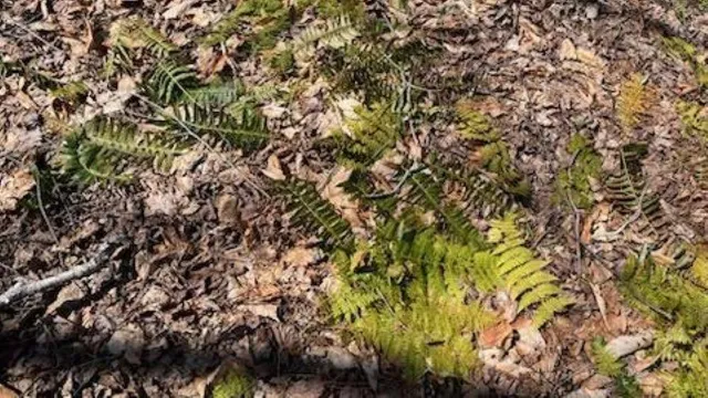 $325,000 | 1376 Kingdom Road, Ludlow, VT 05149