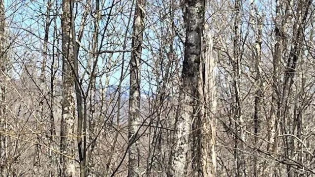 $325,000 | 1376 Kingdom Road, Ludlow, VT 05149