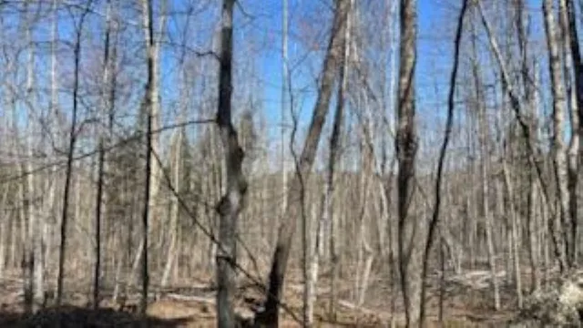 $325,000 | 1376 Kingdom Road, Ludlow, VT 05149