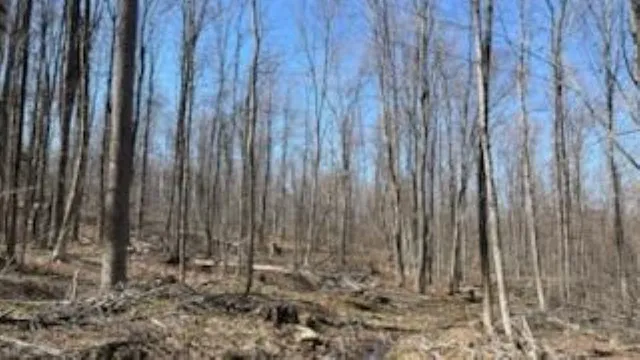 $325,000 | 1376 Kingdom Road, Ludlow, VT 05149