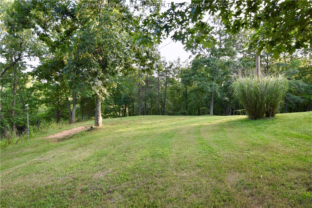 4643 Statts Mills Road Ripley, WV 25271 - Photo 9 of 41 Gallery Image 9