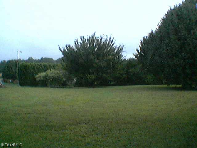 6103 Radds Street Lexington, NC 27295 - Photo 2 of 4 Other. level back yard