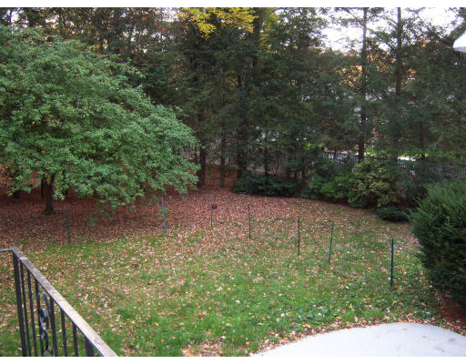 28 Levbert Road Newton, MA 02459 - Photo 8 of 14