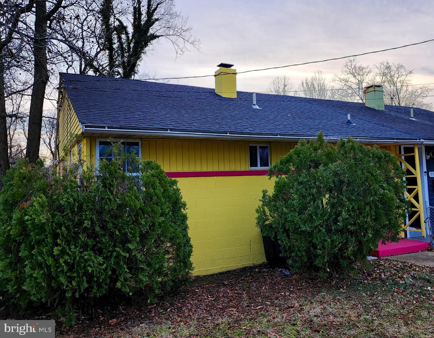 a view of a house with a yard plants and large tree