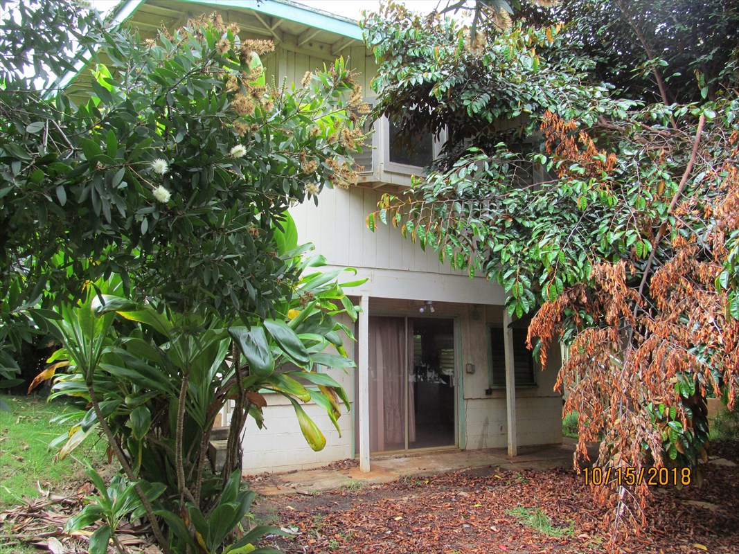 4938 Laipo Road Kapaa, HI 96746 - Photo 8 of 10 a view of a garden with plants