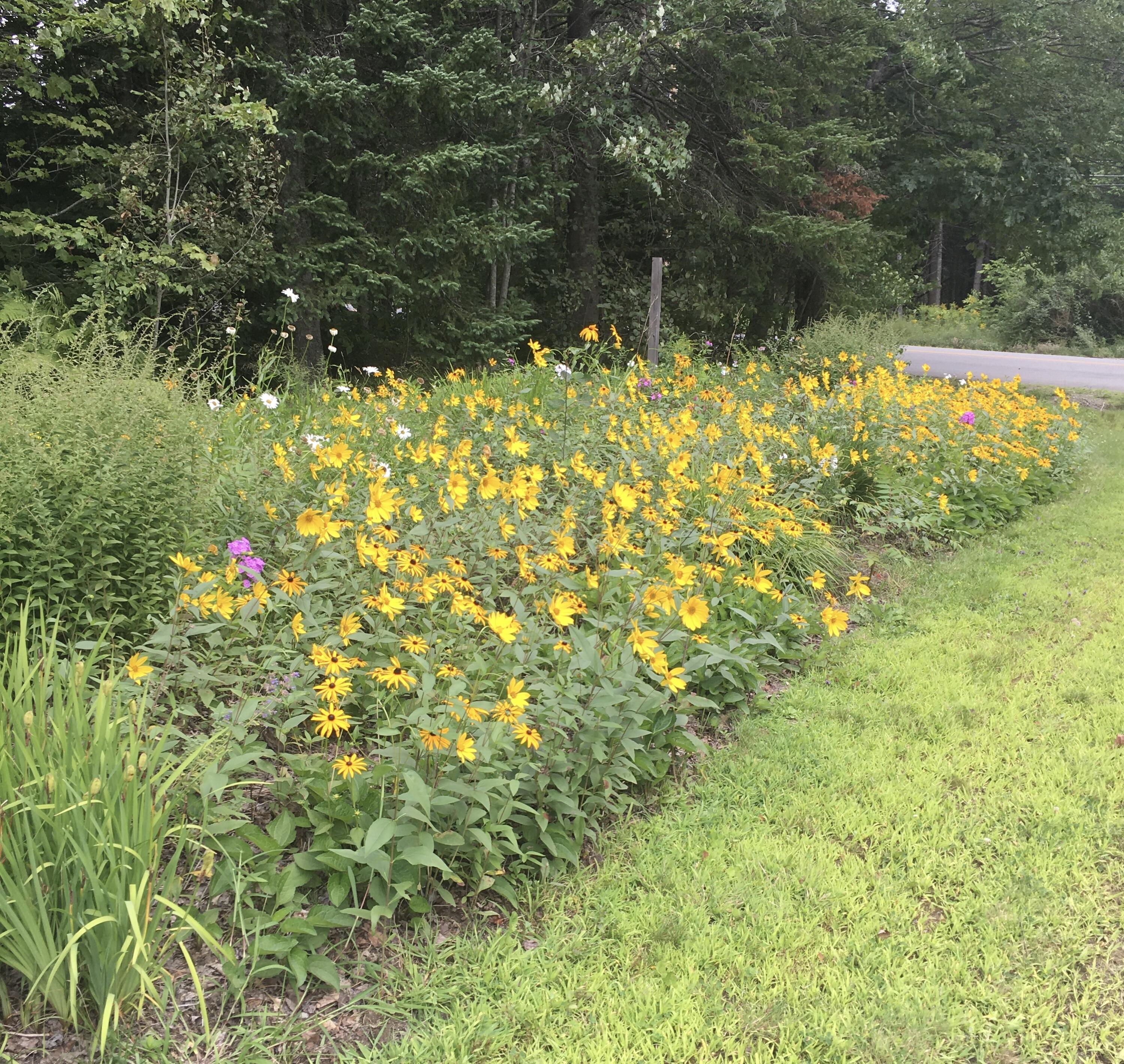 15 Access Road Baileyville, ME 04694 - Photo 7 of 97 IMG_8385