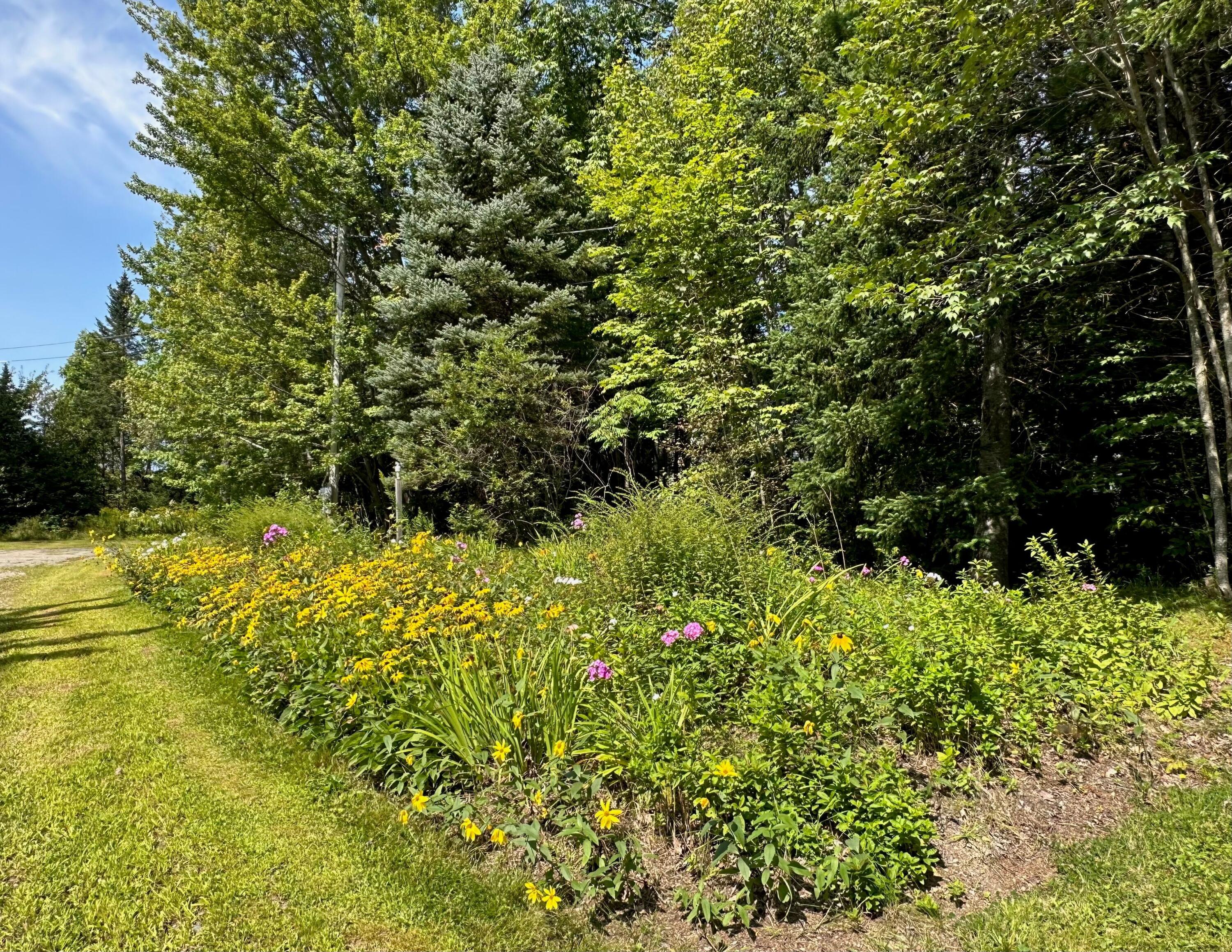 15 Access Road Baileyville, ME 04694 - Photo 10 of 97 IMG_1091