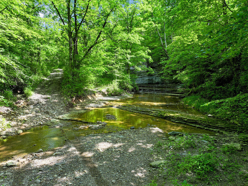 780 Stoney Run Road Richmond, KY 40475 - Photo 1 of 25 DJI_20250605105304_0141_D