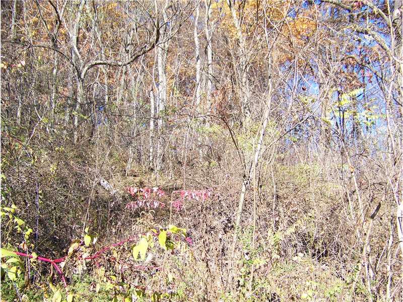 615 Big Knob Road Rochester, PA 15074 - Photo 8 of 8 Land/Lot.