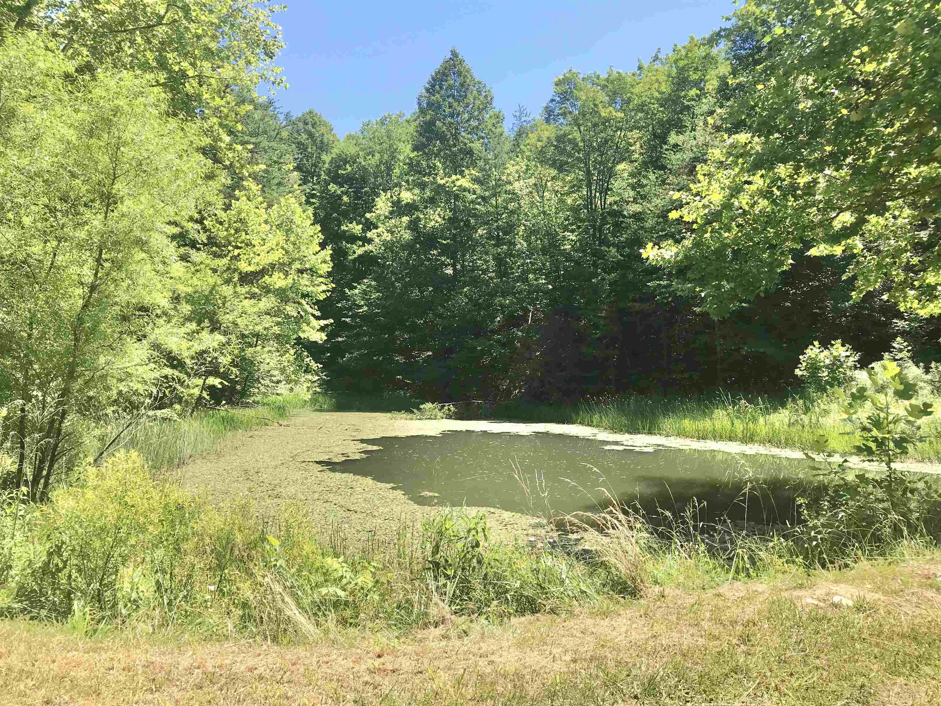 664 Walker Branch Road Morehead, KY 40351 - Photo 47 of 50