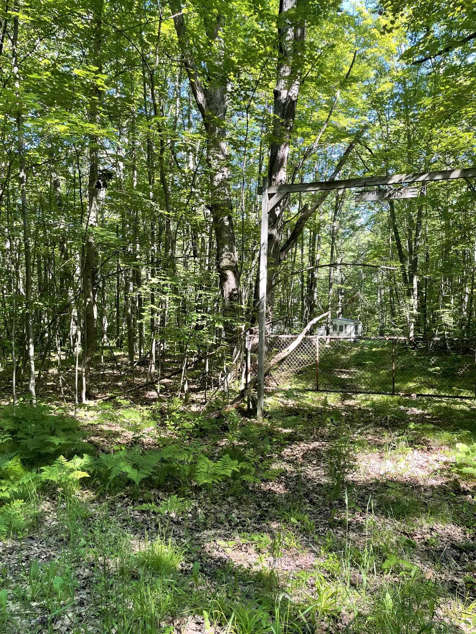 8895 East Grandview Trail Reed City, MI 49677 - Photo 1 of 18