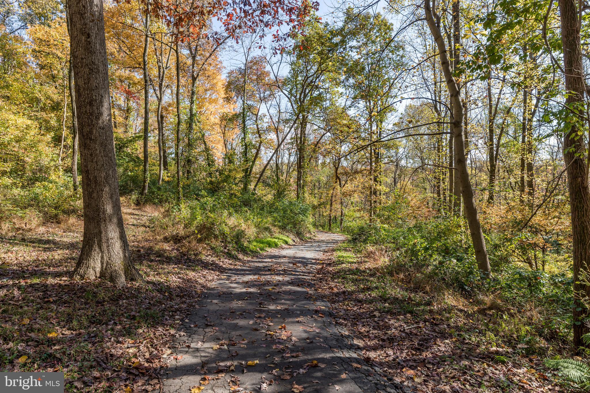 441 Trythall Road Elverson, PA 19520 - Photo 2 of 49 Private winding drive