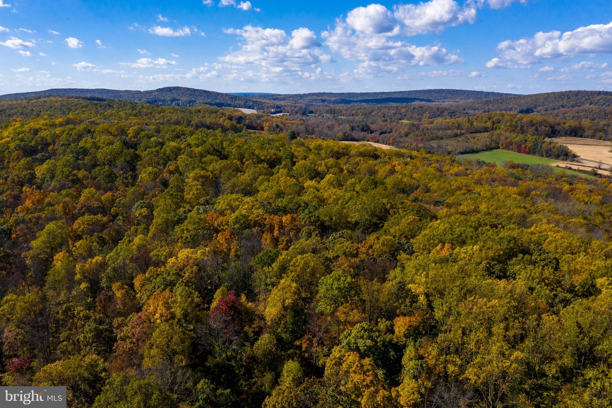 441 Trythall Road Elverson, PA 19520 - Photo 4 of 49 Chester County skyline
