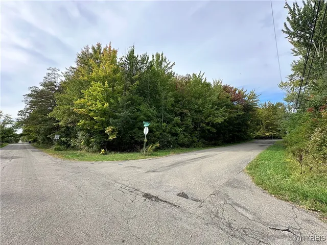 $20,500 | 9528 Chippewa Street, Evans, NY 14006