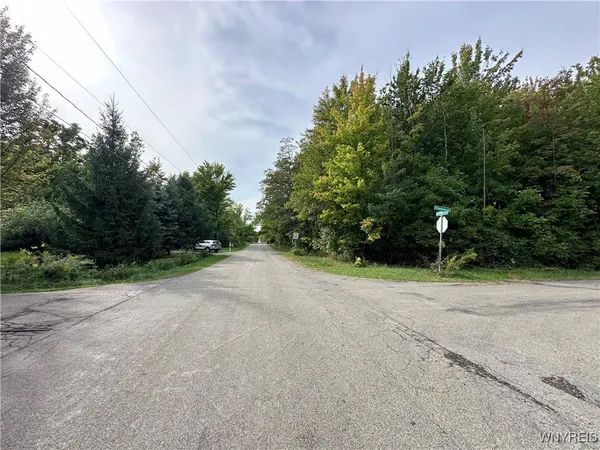 $20,500 | 9528 Chippewa Street, Evans, NY 14006