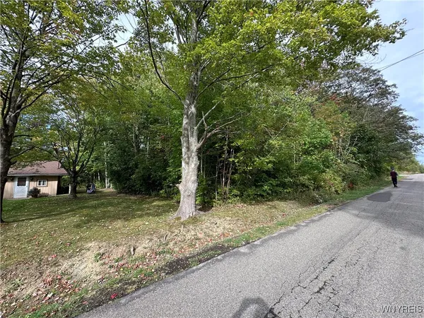 $20,500 | 9528 Chippewa Street, Evans, NY 14006