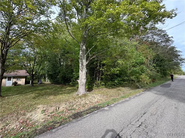 $20,500 | 9528 Chippewa Street, Evans, NY 14006