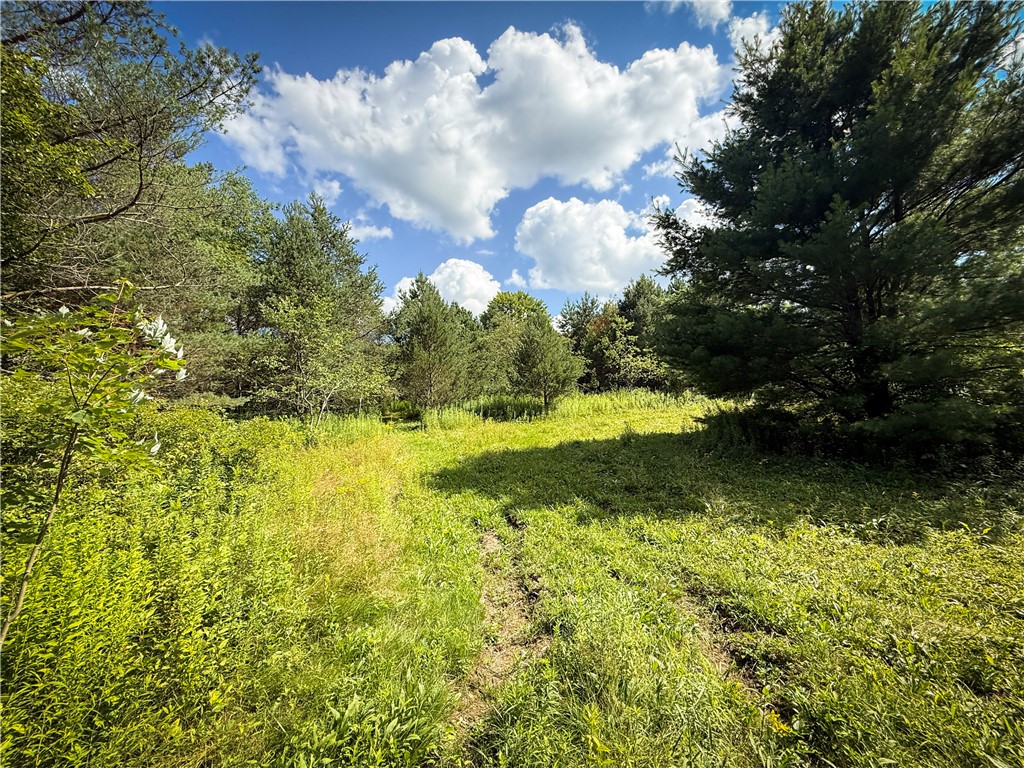 North Greenbush Road Erin, NY 14838 - Photo 20 of 46 Gallery Image 20