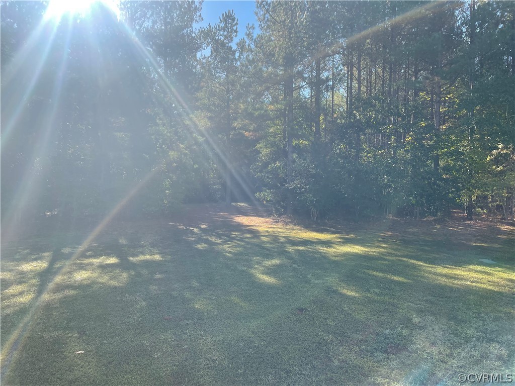 13111 Eppes Falls Road Chesterfield, VA 23838 - Photo 6 of 19 a view of a yard