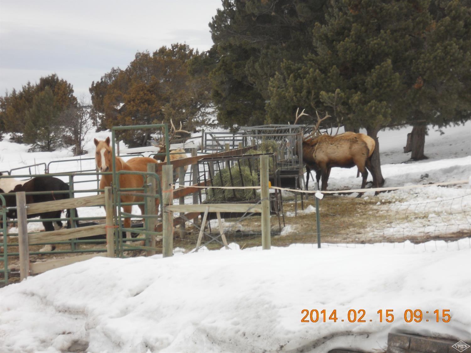 1720 Castle Peak Ranch Road Eagle, CO 81631 - Photo 22 of 25 a view of outdoor space with seating area