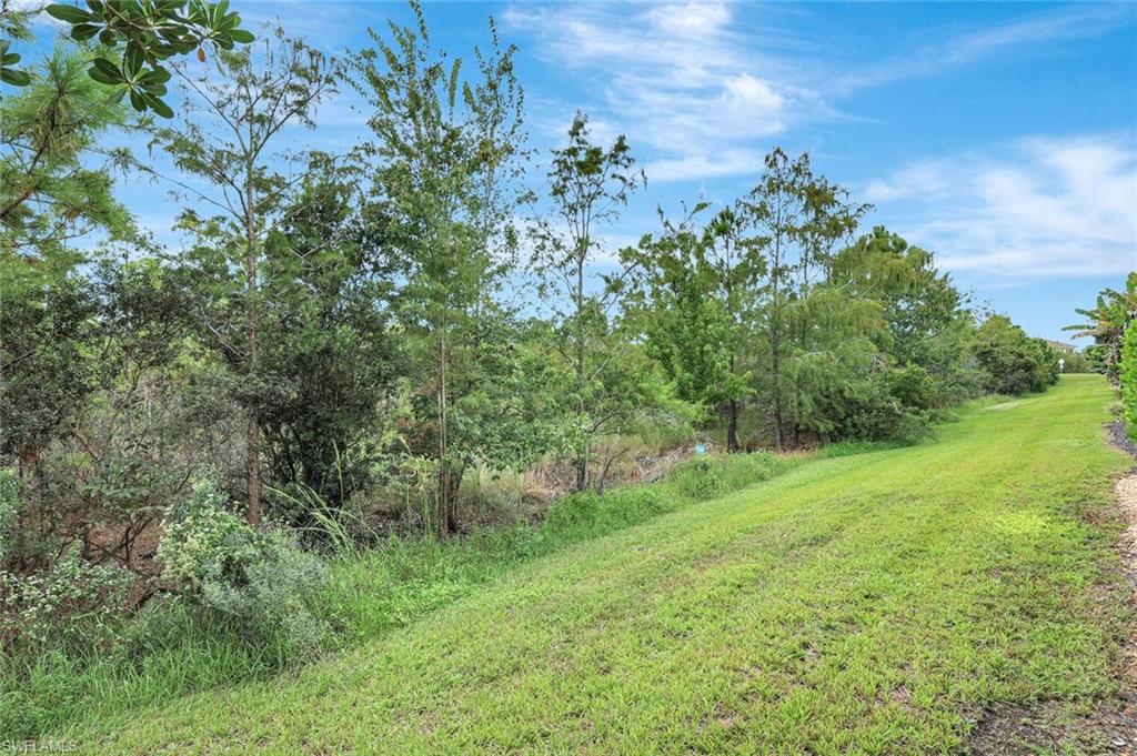 3430 Tigris Lane Naples, FL 34119 - Photo 35 of 48 a view of a lush green space
