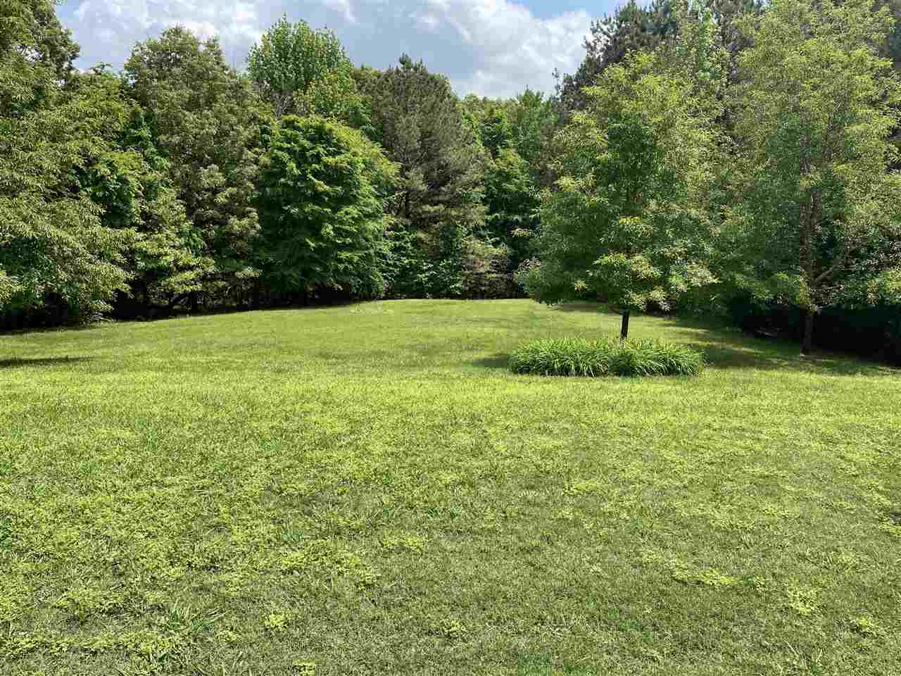 835 Ebenezer Road Toone, TN 38381 - Photo 9 of 21