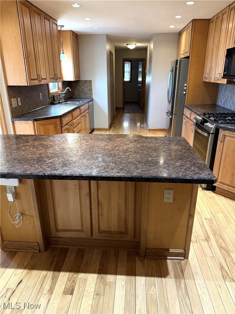 5115 Raspberry Lane Mineral Ridge, OH 44440 - Photo 6 of 25 Kitchen featuring light wood-style flooring, appliances with stainless steel finishes, and a sink