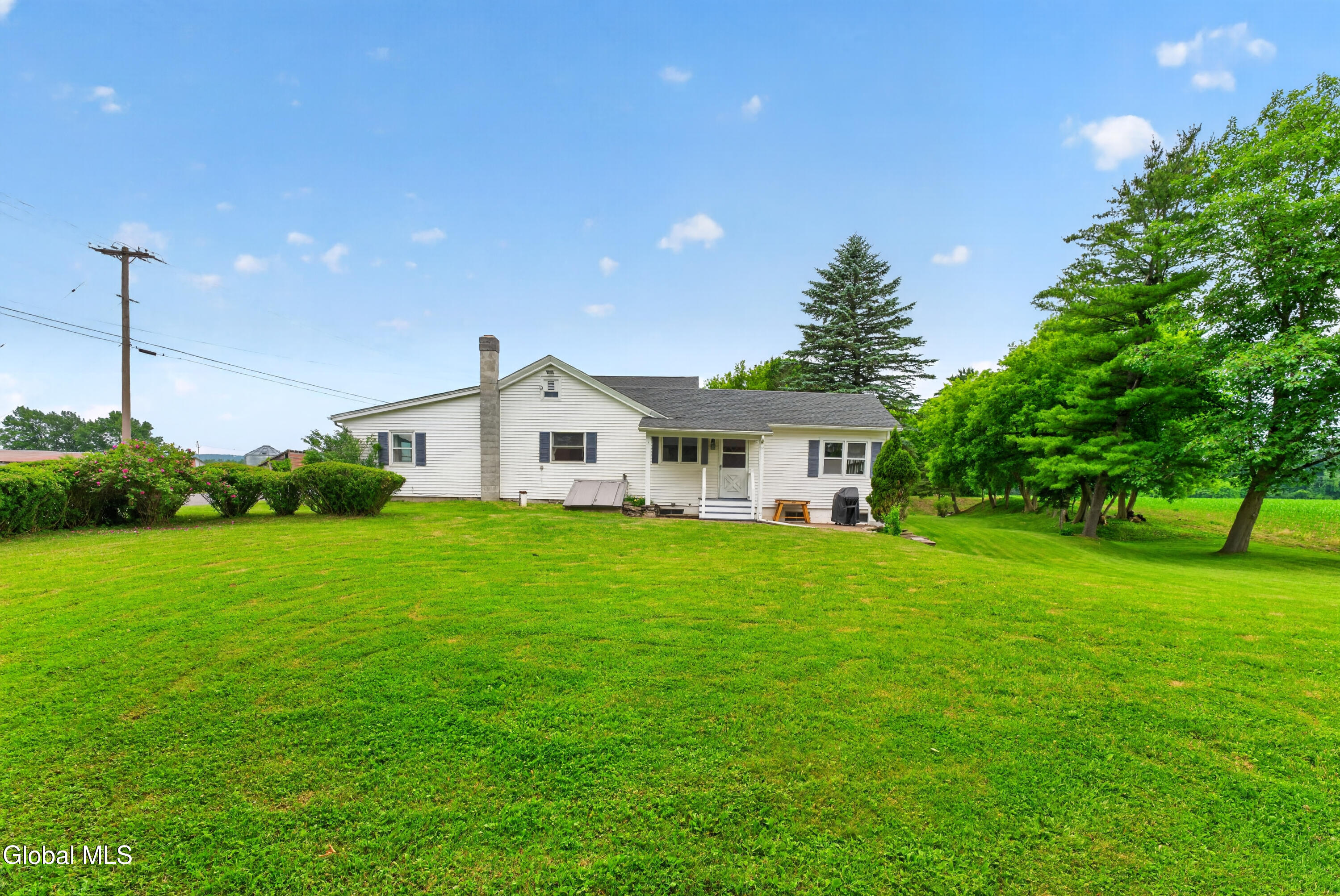 161 County Highway Springfield Center, NY 13468 - Photo 6 of 70 Yard 9