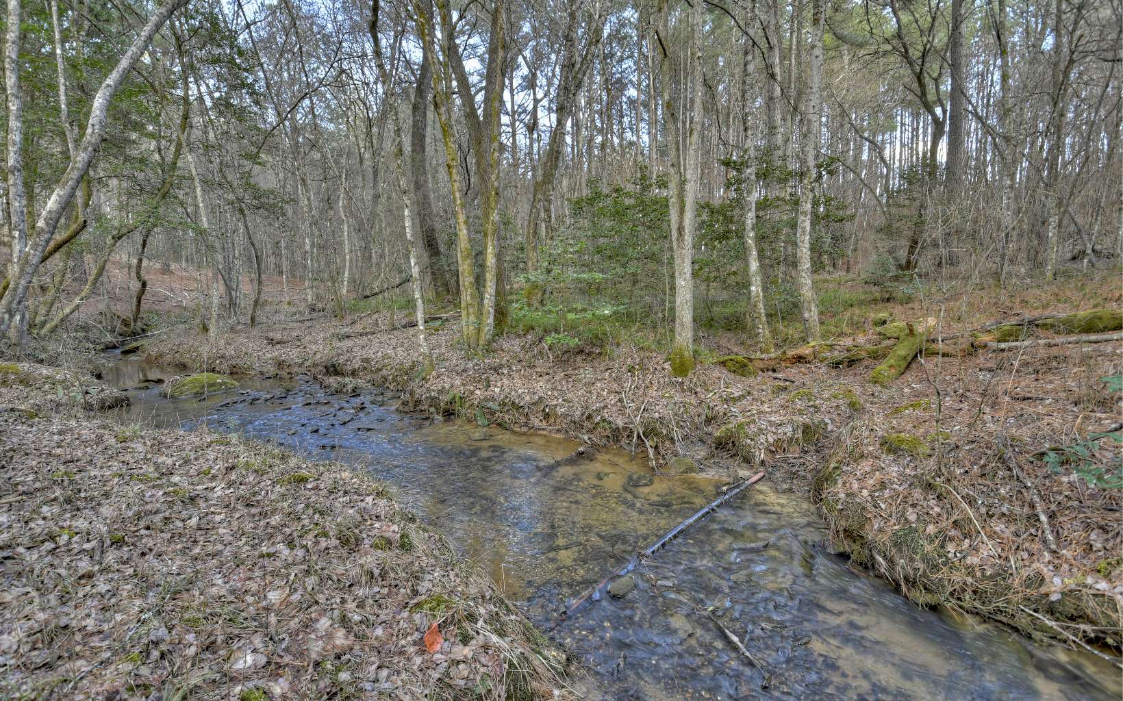 1021 Belltown Road Copperhill, TN 37317 - Photo 50 of 75 Additional View