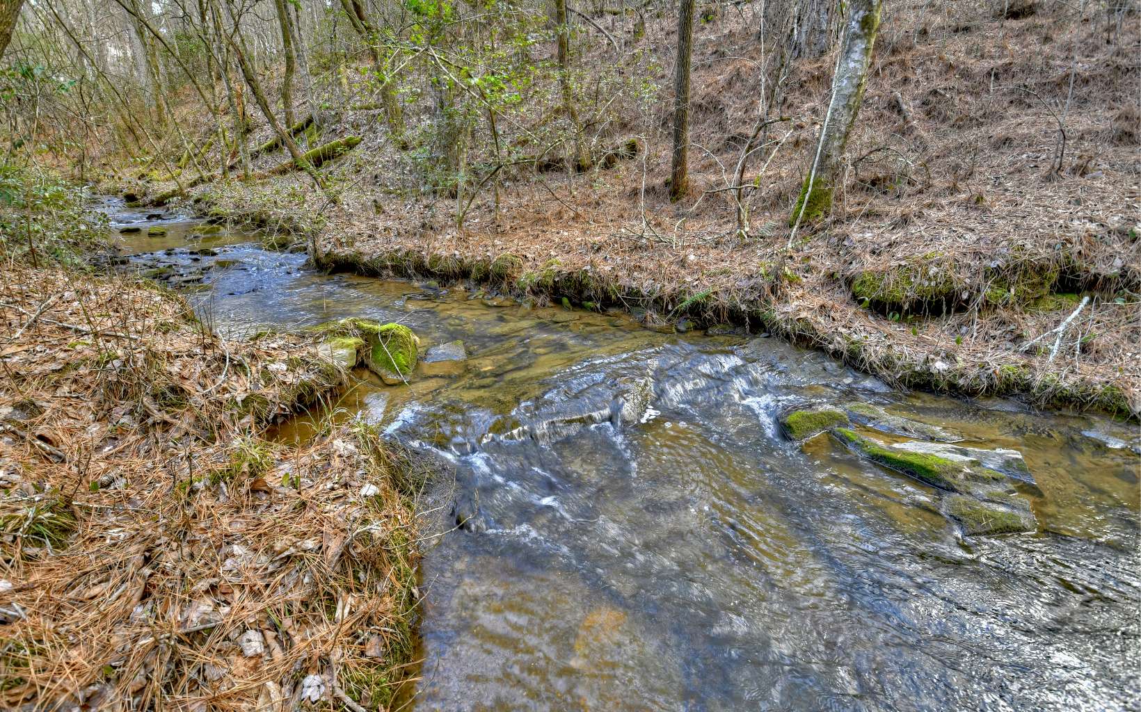 1021 Belltown Road Copperhill, TN 37317 - Photo 59 of 75 Additional View