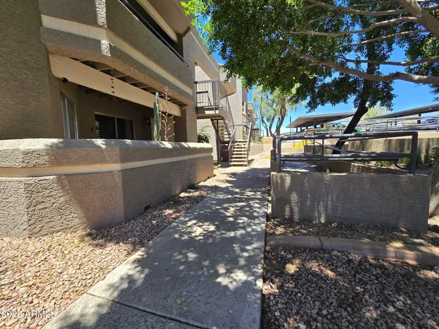 a view of a backyard with large trees