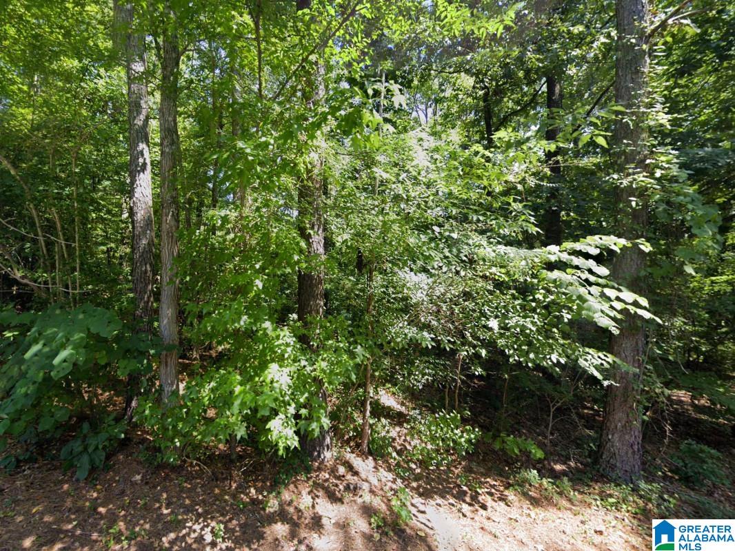 Highland Street Gadsden, AL 35905 - Photo 3 of 8