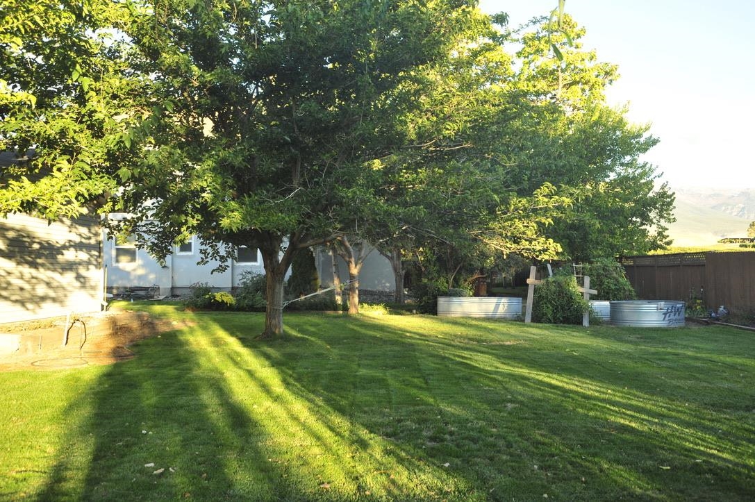 445 35 Road Palisade, CO 81526 - Photo 37 of 42 a view of a backyard with large trees