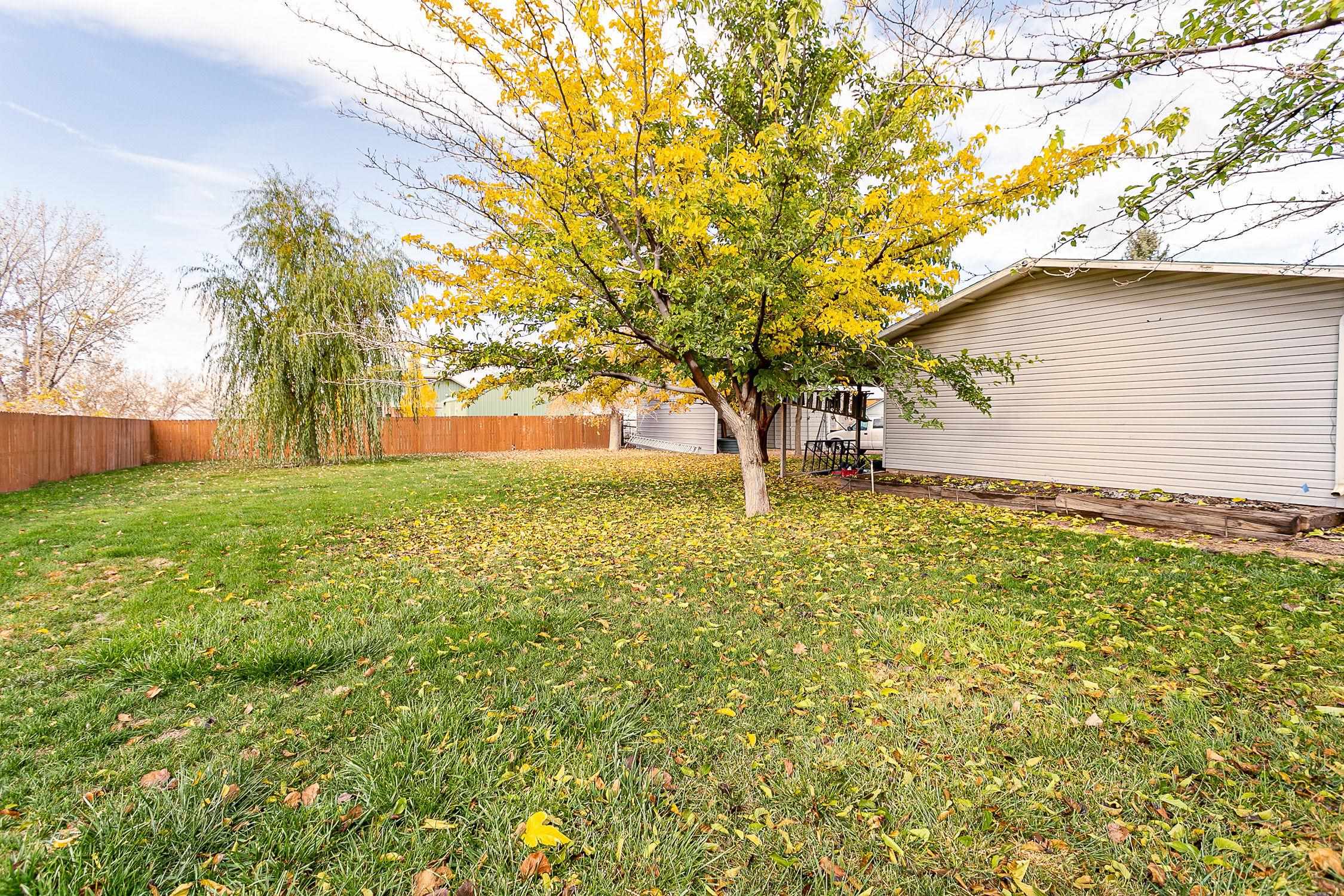 445 35 Road Palisade, CO 81526 - Photo 41 of 42 a backyard of a house with lots of green space