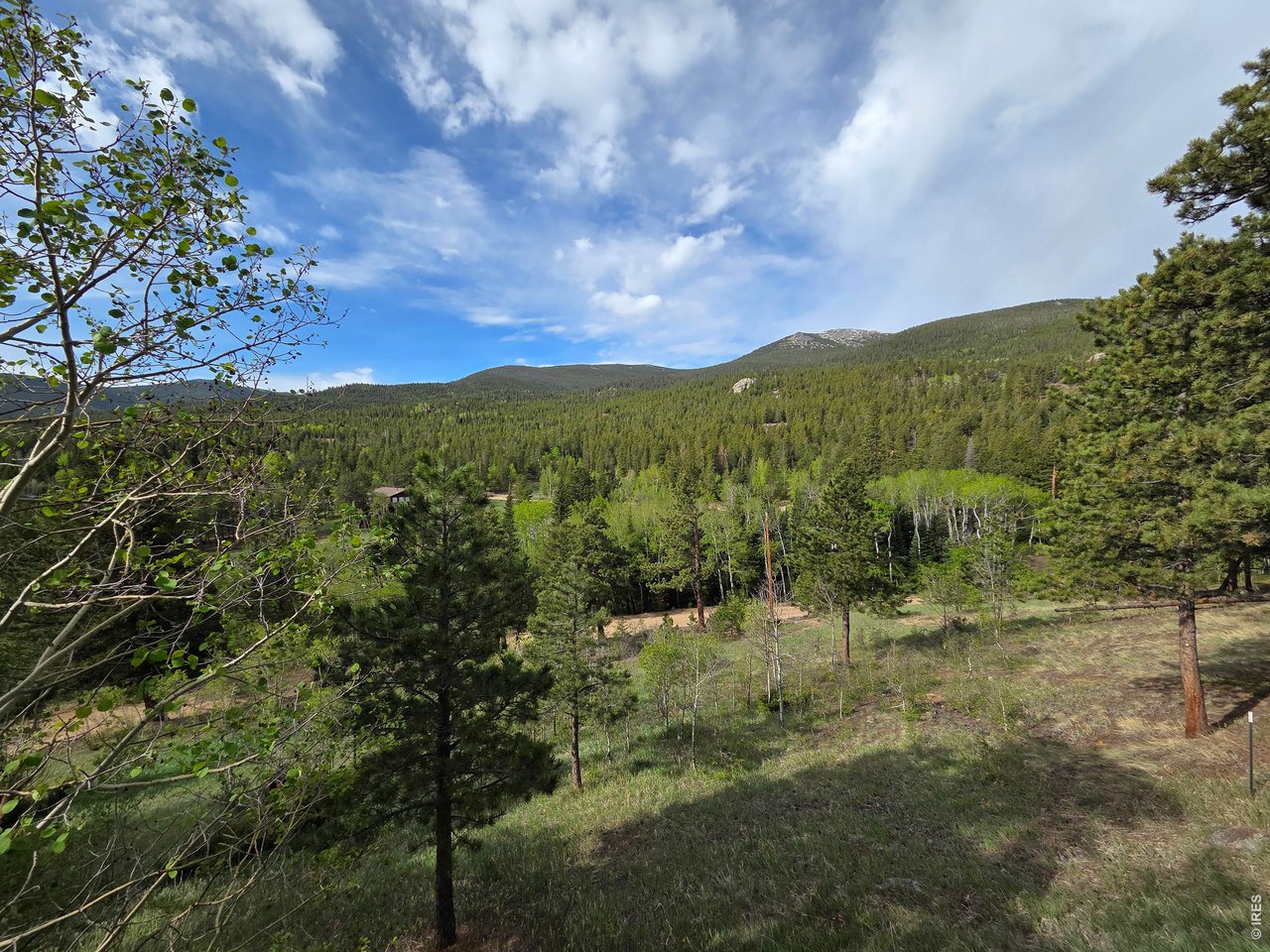 328 North Skinner Road Allenspark, CO 80510 - Photo 13 of 41 View from Side of Home