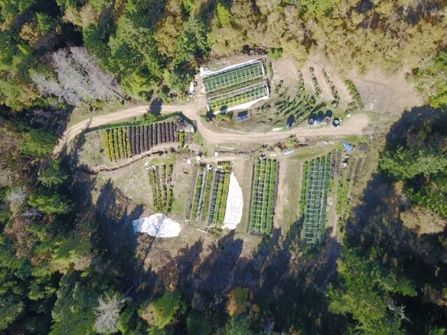 DJI_0391