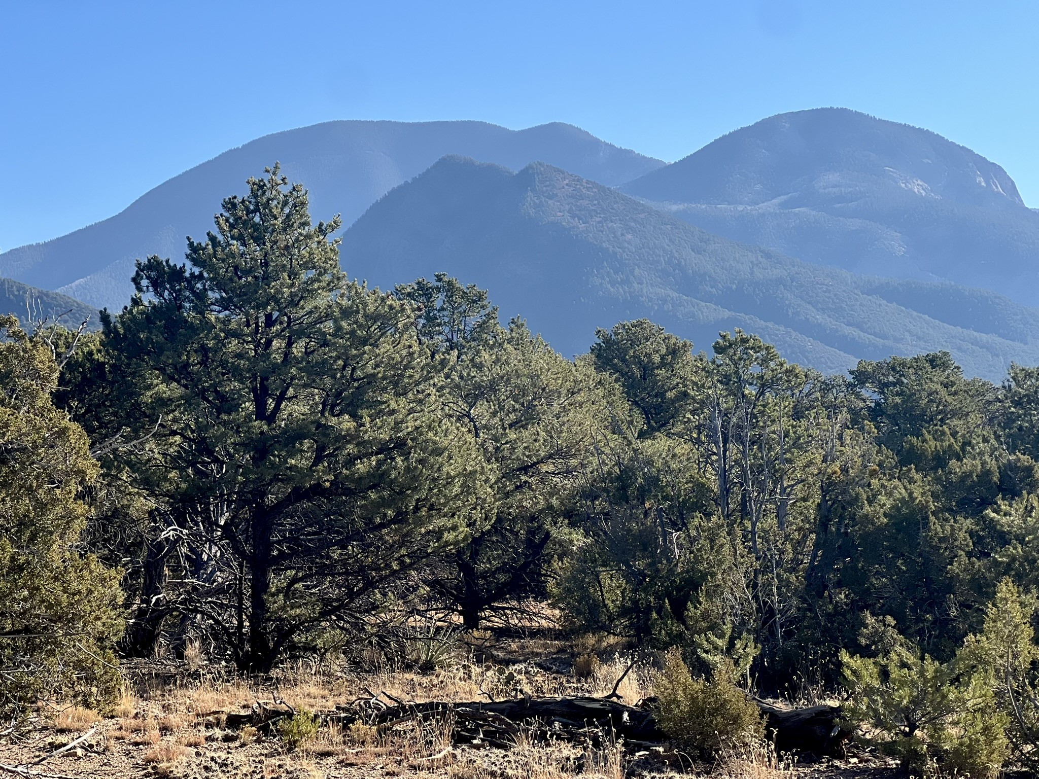 0 Gallina Canyon Road Valdez, NM 87580 - Photo 17 of 24