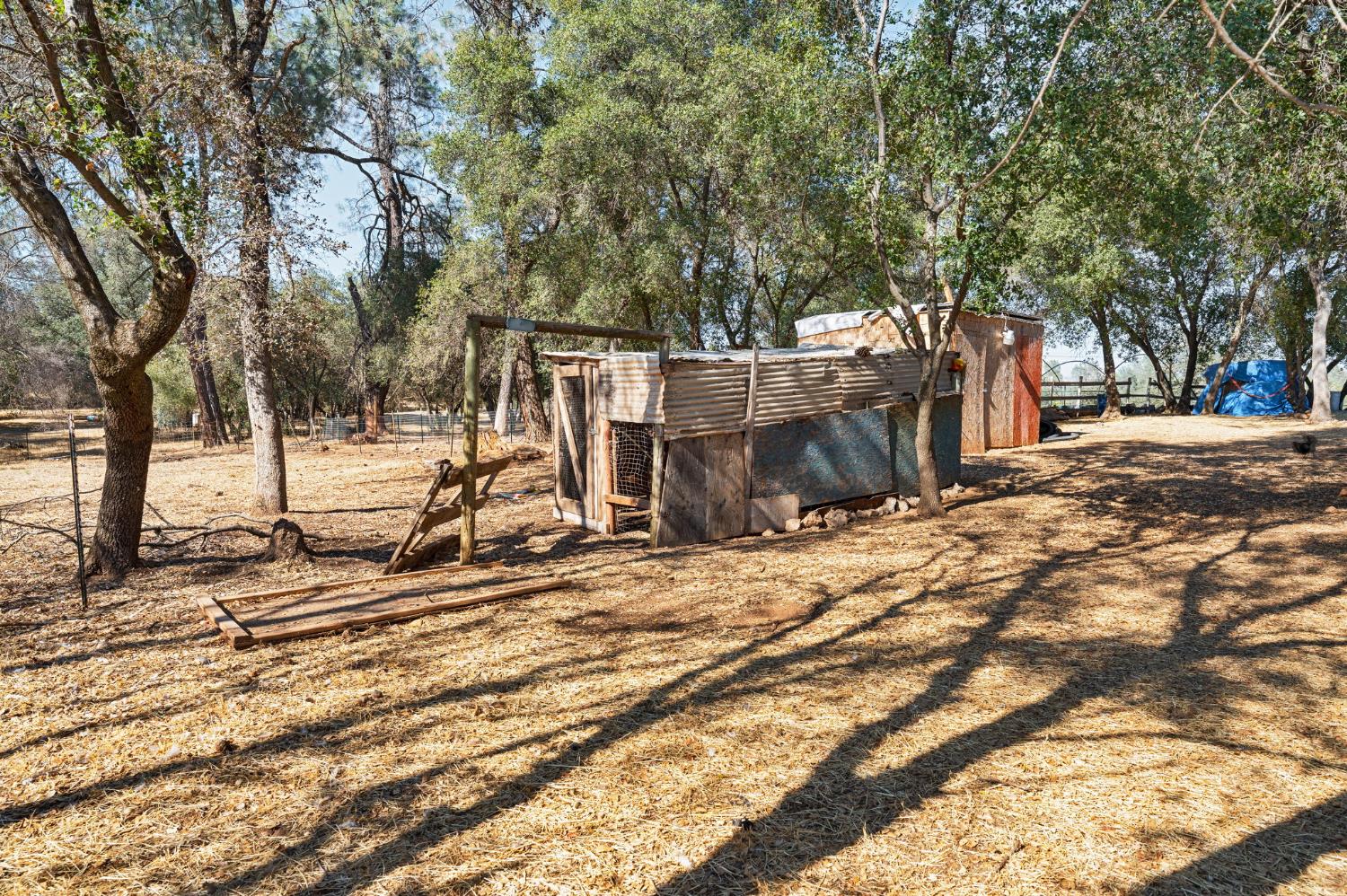 135 Beaver Road Palermo, CA 95966 - Photo 27 of 42 Gallery Image 27