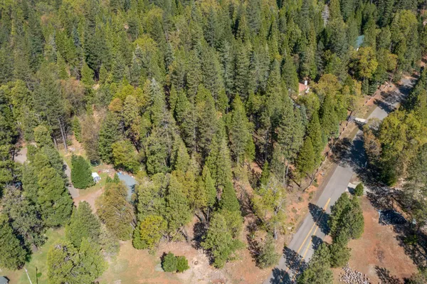 a view of a forest with a house