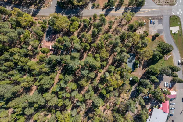 a view of a house with a tree