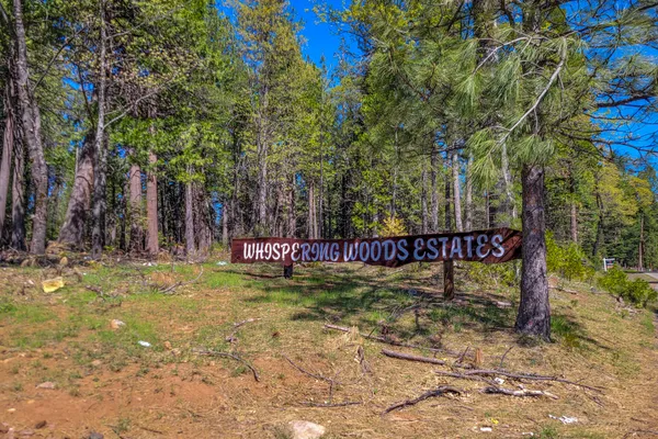 a view of street sign under a large tree