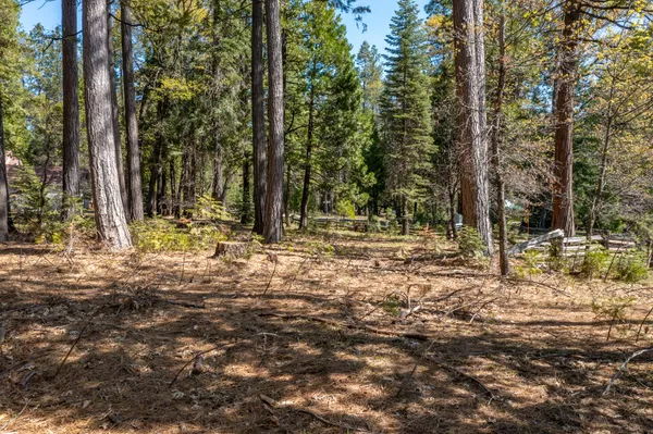 a view of outdoor space with trees