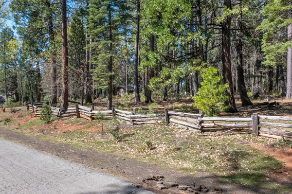 a view of a yard with palm tree